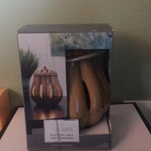 Electric wax warmer